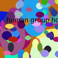 human group homans