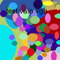 test vaio vgn